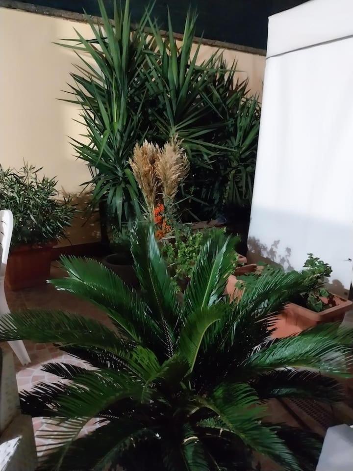 Il Giardino Di Marimar Διαμέρισμα Εξωτερικό φωτογραφία